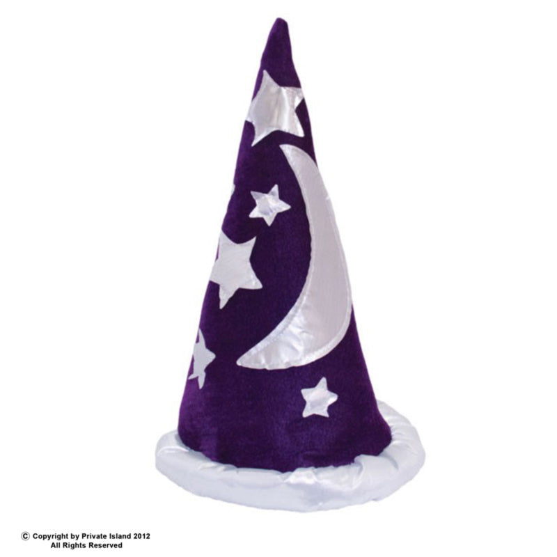 Wizard Hat  Wholesale | Purple 1437