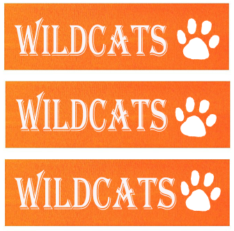 Customizable Headband. Personalized Gifts For Teams (Fonts in Picture Gallery)