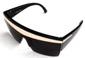 Lady Diva Sunglasses Black with Silver Stripe  12 PACK  WS1141D