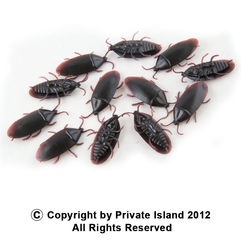 Fake Roach Prank | Fake Cockroaches |  12 PACK WS9026D