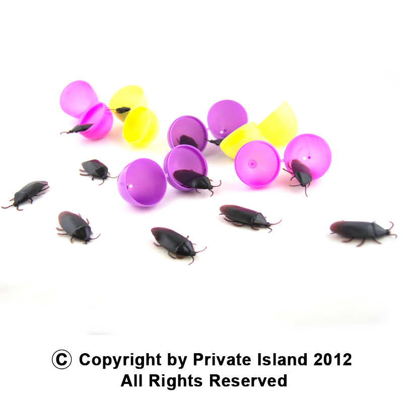 Fake Roach Prank | Fake Cockroaches |  12 PACK WS9026D