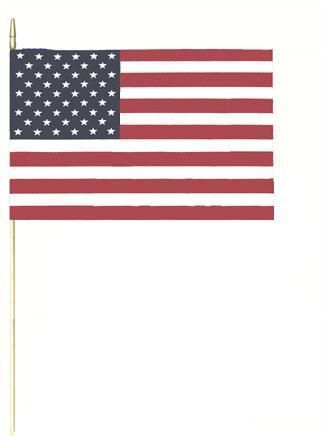 12 PACK USA Pride Flags 12 x 18" 9074D