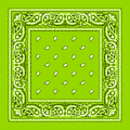 Lime Green Paisley Bandanna 22" Square Standard 100% Cotton 12 PACK 1928DZ