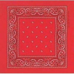 Chong Mexican Costume Kit 4399