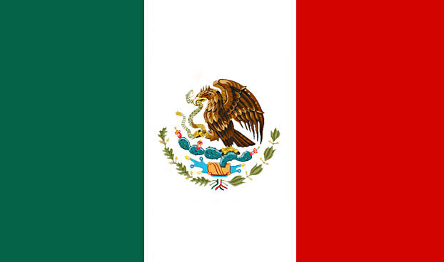 Mexican Flag 12in 1893