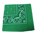 Green Paisley Bandanna 12 PACK 22" Square Standard 100% Cotton WS1930D