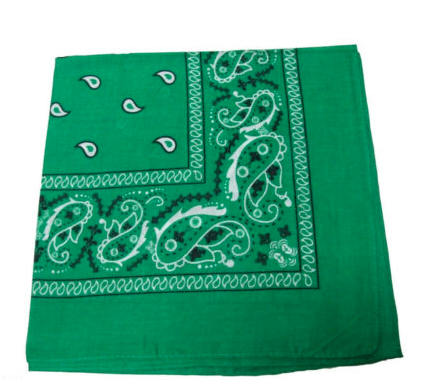 12 PACK Green Paisley Bandanna 22" Square Standard 100% Cotton 1930DZ
