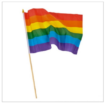 12 PACK Wholesale Rainbow Gay Pride Flags 12" 9045
